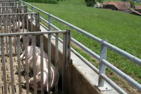 Séparation sur muret de parcours