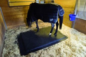 Box pour chevaux - tapis soft en système sandwich.