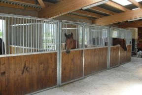 Box pour Chevaux